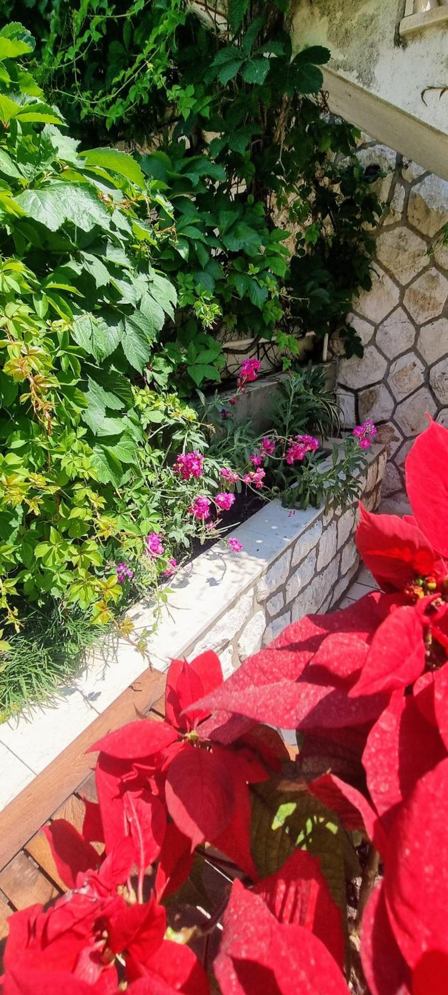 Apartment Lea Bayview Дубровник Екстериор снимка